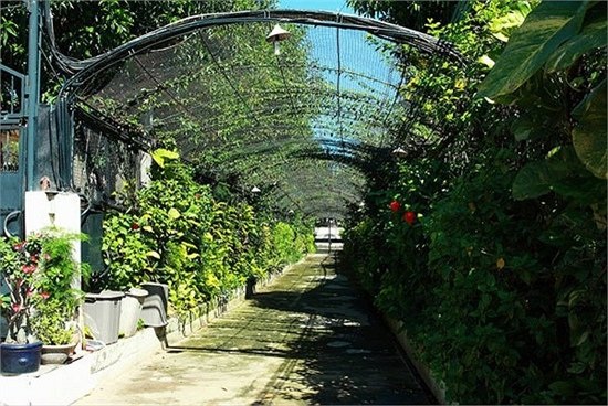 'Nữ hoàng ảnh lịch' Diễm My giàu đến đâu? - Ảnh 11 Còn đây là lối đi vào căn biệt thự của Diễm My, thường khiến khách đến nhà tưởng như đi lạc vào công viên hay vườn tược nào ở phương Tây.