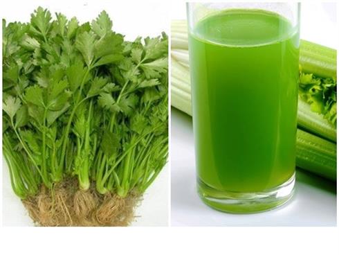 Tác dụng của cần tây với sức khỏe và cách sử dụng hiệu quả nhất Tác dụng của cần tây với sức khỏe và cách sử dụng hiệu quả nhất