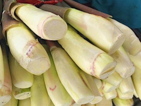 Bất ngờ loại củ mọc dại bờ ao, nay trở thành đặc sản siêu đắt khách Bất ngờ loại củ mọc dại bờ ao, nay trở thành đặc sản siêu đắt khách