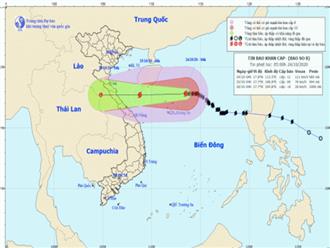 Tin bão khẩn cấp: Cơn bão số 8 áp sát nước ta, gây mưa lớn tại các tỉnh miền Trung