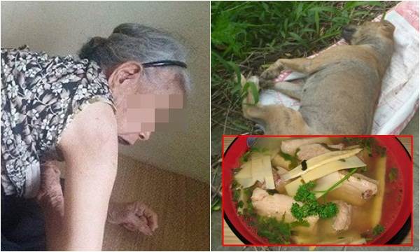 Thấy chó lăn ra chết sau khi ăn bát canh mẹ mình nấu cho vợ bầu, tôi điên tiết đánh đuổi bà về quê để rồi phải hối hận tột cùng ảnh 2 Thấy chó lăn ra chết sau khi ăn bát canh mẹ mình nấu cho vợ bầu, tôi điên tiết đánh đuổi bà về quê để rồi phải hối hận tột cùng ảnh 2