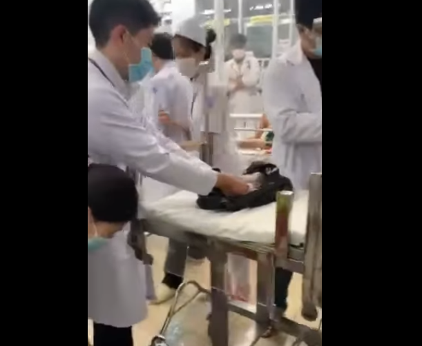 'Thót tim' cảnh giải cứu trẻ sơ sinh 31 tuần tuổi - Ảnh 2 thai nhi 31 tuan 2