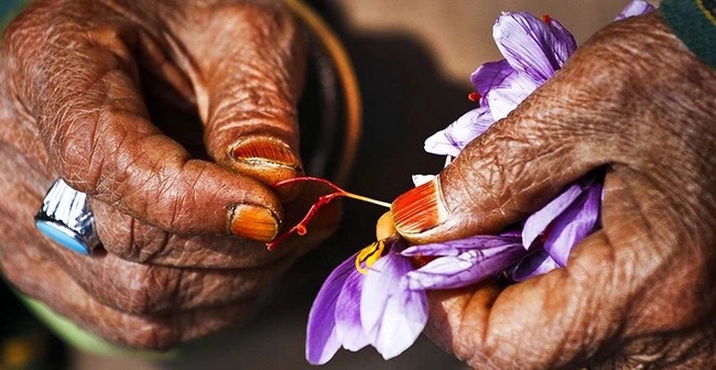 Loại 'gia vị' đắt đỏ nhưng tận dụng có thể chống bệnh tiểu đường, tăng cường trí nhớ và tốt cho da - Ảnh 1 Loại 'gia vị' đắt đỏ nhưng tận dụng có thể chống bệnh tiểu đường, tăng cường trí nhớ và tốt cho da - Ảnh 1