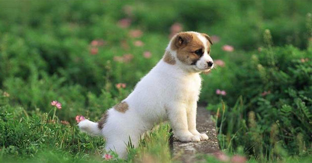 Đúng 17h ngày 20/2, Phật Bà cho phước lớn, 3 con giáp uống no nê lộc Trời, trúng xổ số độc đắc, đời một bước lên hương, sống sung túc sang giàu - Ảnh 3