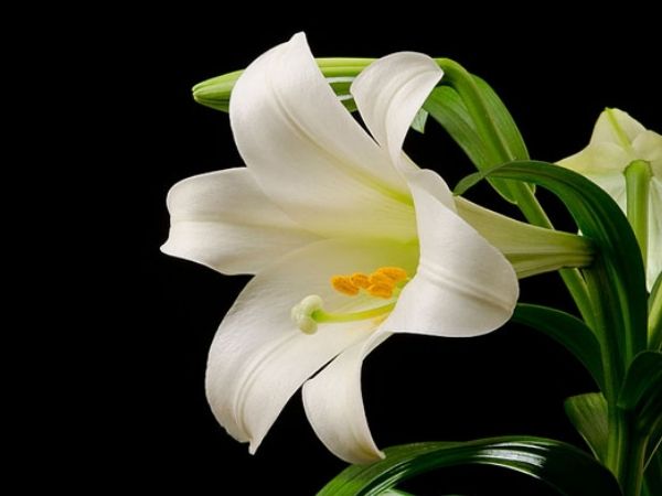 Lộ diện 3 con giáp giàu sụ sau ngày 5/5/2025, gặt hái nhiều thành tựu trong công việc, thu nhập tăng cao bất ngờ khiến ai cũng phải ngỡ ngàng - Ảnh 1 Lộ diện 3 con giáp giàu sụ sau ngày 5/5/2025, gặt hái nhiều thành tựu trong công việc, thu nhập tăng cao bất ngờ khiến ai cũng phải ngỡ ngàng - Ảnh 1