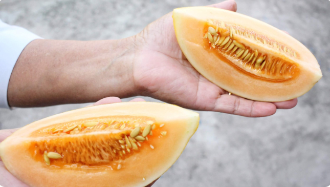 Những lợi ích bất ngờ của hạt dưa lưới đối với sức khỏe - Ảnh 2 Những lợi ích bất ngờ của hạt dưa lưới đối với sức khỏe - Ảnh 2