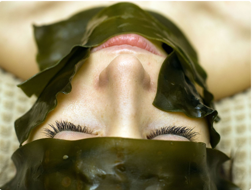 5 loại mặt nạ chống lão hóa da từ thiên nhiên đỉnh cao, kiên trì mỗi ngày da đẹp hơn đi spa - Ảnh 6 5 loại mặt nạ chống lão hóa da từ thiên nhiên đỉnh cao, kiên trì mỗi ngày da đẹp hơn đi spa - Ảnh 6