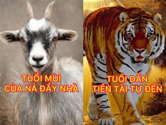 Đúng ngày mai, thứ Sáu 6/6/2025, Thần Tài chiếu cố, quý nhân trợ mệnh, 3 con giáp ôm trọn tài lộc, tiền của đầy nhà, sự nghiệp thăng tiến 'thuận buồm xuôi gió'