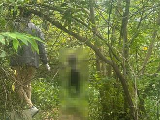 Bình Định: Đi chăn bò, một người dân phát hiện thi thể đang phân hủy