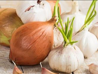 Củ, quả mọc mầm: Nên và không nên ăn loại nào?