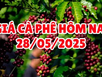 Giá cà phê hôm nay 28/5/2025: Giá cà phê thế giới tăng - giảm trái chiều, tại Việt Nam giá ra sao?