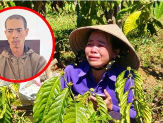 Vụ anh rể chặt phá vườn cà phê của em vợ ở Gia Lai: Mục đích để ép em vợ quan hệ tình cảm?  