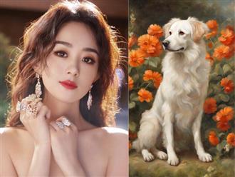 Trong 15 ngày tới, 3 con giáp được Ngọc Hoàng đãi ngộ, sống trong nhung gấm, lụa là, hạnh phúc viên mãn đủ đầy, sự nghiệp tiến bước Vinh Quy