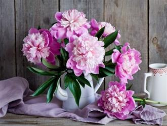 Từ giữa tháng 4 trở đi dương lịch trở đi, 3 con giáp tích lũy tiền của, lộc đón trước cửa, vàng trải đầy nhà, công sức bấy lâu được đền đáp