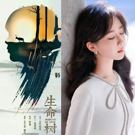 Dương Tử 'lấn lướt' Hồ Ca trong dự án phim Cây sinh mệnh, liệu có tạo bứt phá? - Ảnh 2