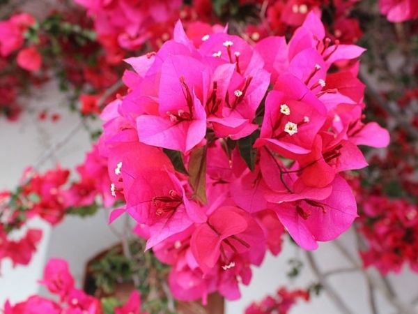 Đúng ngày mai, thứ Bảy 26/4/2025, 3 con giáp may mắn nhận lộc trời, 99% trúng số, 'có căn' thời cuộc và TÀI LỘC, làm gì cũng PHÚ QUÝ vây quanh - Ảnh 2 Đúng ngày mai, thứ Bảy 26/4/2025, 3 con giáp may mắn nhận lộc trời, 99% trúng số, 'có căn' thời cuộc và TÀI LỘC, làm gì cũng PHÚ QUÝ vây quanh - Ảnh 2