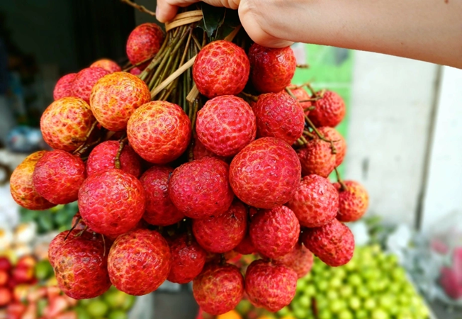 Ăn quả vải thiều có tác dụng gì? Ăn thế nào để không bị nóng? - Ảnh 1 Ăn quả vải thiều có tác dụng gì? Ăn thế nào để không bị nóng? - Ảnh 1