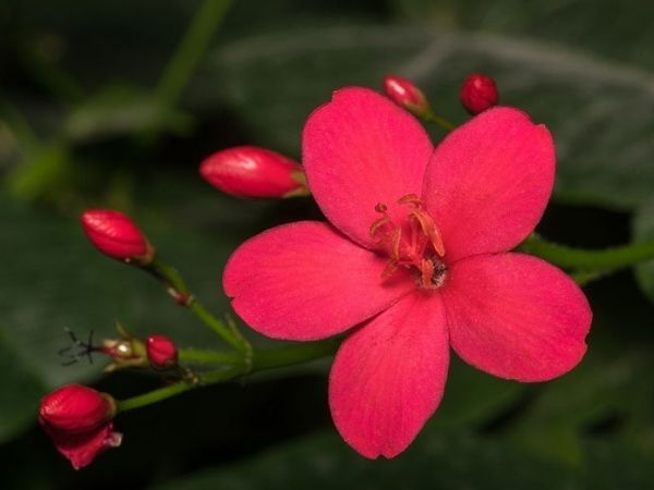 Đúng 12h trưa mai (10/4/2025), bĩ cực thái lai, 3 con giáp tiền đè ngạt thở, thăng tiến vù vù, giàu bất thình lình, tình tiền viên mãn bất ngờ - Ảnh 3 Đúng 12h trưa mai (10/4/2025), bĩ cực thái lai, 3 con giáp tiền đè ngạt thở, thăng tiến vù vù, giàu bất thình lình, tình tiền viên mãn bất ngờ - Ảnh 3
