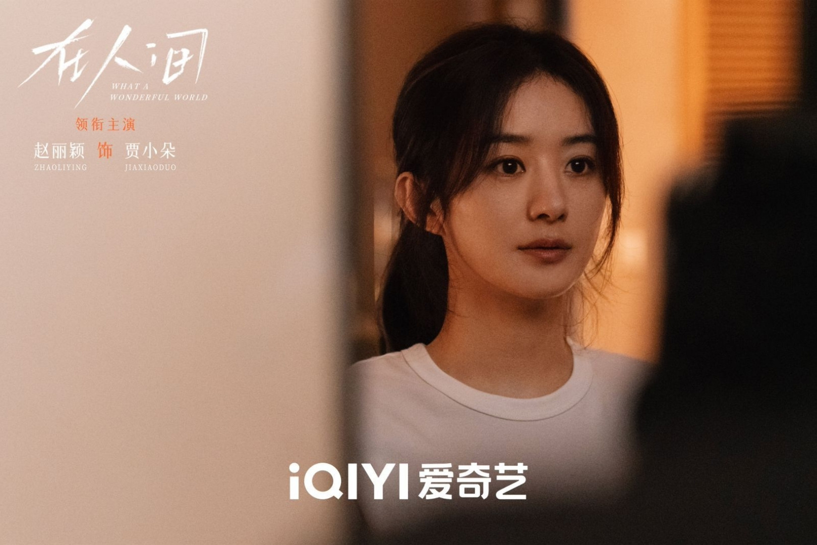 Triệu Lệ Dĩnh 'lao đao' khi 4 phim liên tiếp thất bại, sự nghiệp đang chững lại - Ảnh 3